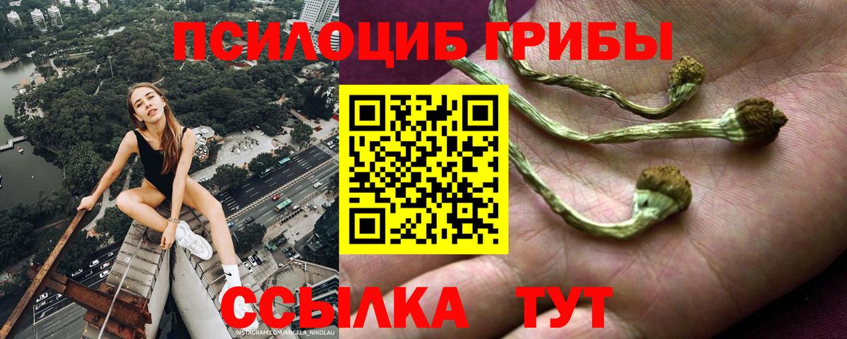 Псилоцибиновые грибы Psilocybe  Галлюциногенные грибы Psilocybine cubensis  Вход с VPN  Биробиджан 